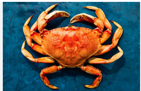 rich source of vitamin b 12 crab